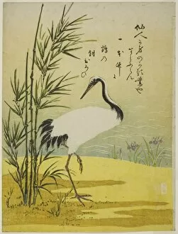 Looking Back Gallery: Crane, Bamboo and Iris, c. 1775. Creator: Isoda Koryusai