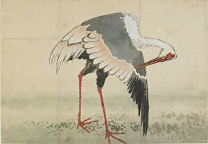 Plumage Gallery: Crane, Edo period, late 18th-early 19th century. Creator: Hokusai
