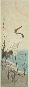 Crane Gallery: Crane and sun, c. 1843 / 47. Creator: Ando Hiroshige