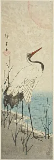 Aitanzaku Prints: Crane and sun, c. 1843/47. Creator: Ando Hiroshige