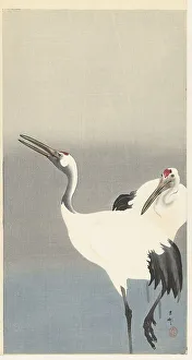 Koson 1877 1945 Prints: Two cranes, 1920-1930. Creator: Ohara, Koson (1877-1945)