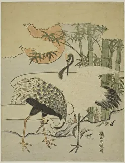 Koryusai Isoda Prints: Cranes and Bamboo, c. 1774. Creator: Isoda Koryusai