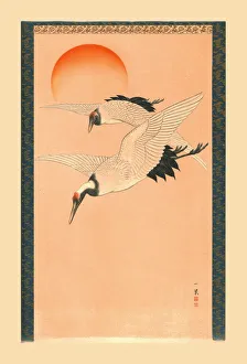 Anderson Collection: Cranes, c1840, (1886). Artist: Wilhelm Greve