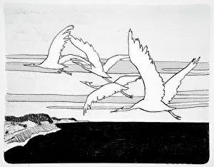 Wading Bird Prints: Cranes, c1898. Creator: Walter Leistikow