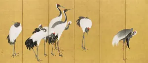 Cranes Prints: Cranes (image 1 of 20), An'ei period (1772-1780). Creator: Maruyama Okyo