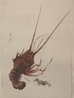 Album Leaf Gallery: Crayfish, ca. 1887. Creator: Watanabe Seitei