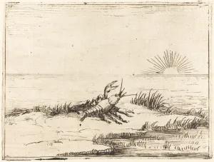 Crayfish Prints: Crayfish Looking at the Sun, 1628. Creator: Jacques Callot