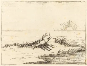 Crayfish Looking at the Sun, 1628. Creator: Jacques Callot