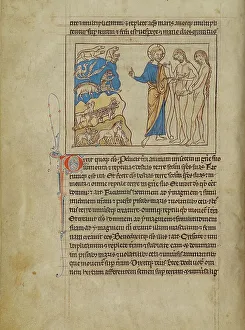 Bestiary Prints: The Creation of the Animals and of Adam and Eve; Northumberland Bestiary
