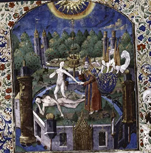Expulsion From The Paradise Prints: The creation of Eve from the body of the sleeping Adam (From De cleres et nobles femmes by Giovanni Boccaccio)