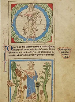 Bestiary Prints: The Creation of Heaven and Earth: The Creation of the Trees; Northumberland Bestiary