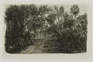 Creek Gallery: The Creek, 1880. Creator: Rodolphe Bresdin