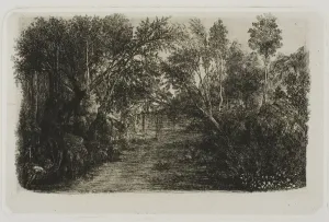 Bresdin Rodolphe Prints: The Creek, 1880. Creator: Rodolphe Bresdin