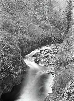 Creek/river unknown location, c1900s. Creator: Robert Augustus Henry L'Estrange.<br> Creek/river unknown location, c1900s. Creator: Robert Augustus Henry L'Estrange