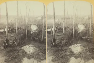 Bennett Henry Hamilton Gallery: Crescent Regt. of New Orleans in the 'Hornets Nest', 1887