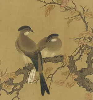 Images Dated 20th August 2021: Two crested birds on a branch; autumn leaves, Qing dynasty, 18th century. Creator: Unknown
