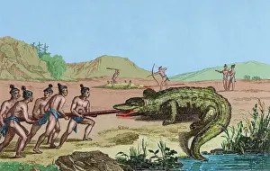 Expedition Prints: Crocodile hunting, Florida, 16th century French expedition