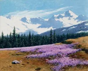 1897 Prints: Crocuses with Snowy Mountains Behind, July 29, 1897. Creator: Stanislaw Witkiewicz