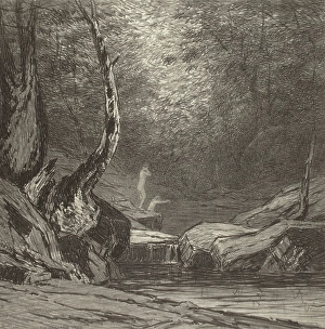Crook Prints: Crooked Tree, c1920s. Creator: Bolton Coit Brown