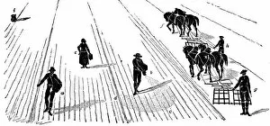 Crop rotation: sowing and harrowing corn, 1855