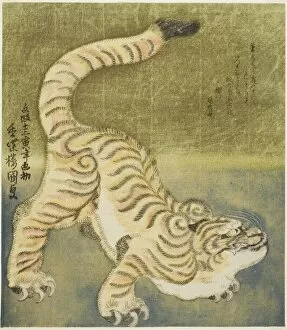Tiger Collection: Crouching tiger, 1830. Creator: Utagawa Kunisada