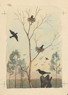 Behaviour Prints: Crow, 1950-1953. Creator: Andrej Kovacik