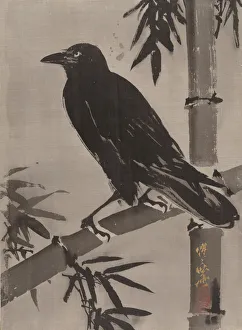 Crow on a Bamboo Branch, ca. 1887. Creator: Kawanabe Kyosai