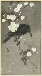 Cherry Prints: Crow with cherry blossom. Creator: Ohara, Koson (1877-1945)