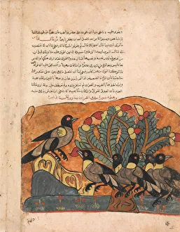 Arabia Prints: The Crow King Consults his Ministers, Folio from a Kalila wa Dimna, 18th century