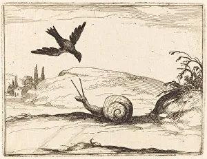 Snail Prints: Crow and Snail, 1628. Creator: Jacques Callot