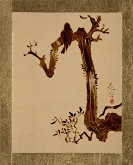 Album Lea Prints: Crow on Tree. Creator: Shibata Zeshin