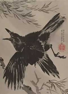 Feather Collection: Crow and Willow Tree, November 1887. Creator: Kawanabe Kyosai