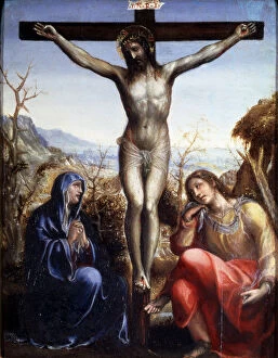 Images Dated 8th June 2010: The Crucifixion with the Virgin and John the Baptist, c1540. Artist: Sodoma
