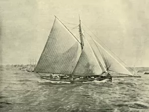 Dynamic Gallery: Cruising in Port Jackson, 1901. Creator: Unknown
