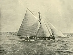 Sydney Gallery: Cruising in Port Jackson, 1901. Creator: Unknown