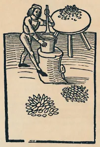 Crushing Herbs in a Mortar, 1947