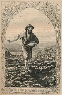 Defoe Collection: Crusoe Sowing Corn, c1870