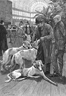 Dog Show Prints: The Crystal Palace Dog Show -- Russian Wolf Hounds awaiting their turn to Enter the Ring