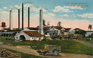 Sugar Mill Prints: Cuba: Ingenio moliendo. Sugar Mill at work, c1900