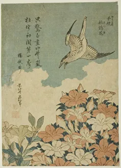Shrub Prints: Cuckoo and Azaleas (Hototogisu, satsuki), Japan, c. 1834. Creator: Hokusai