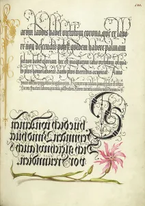 Cuckoo Flower; Mira calligraphiae monumenta, 1561-1562; illumination added 1591-1596. Creator: Joris Hoefnagel