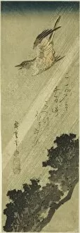 Ando Hiroshige Collection: Cuckoo flying in rain, early 1830s. Creator: Ando Hiroshige