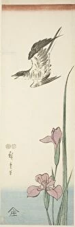 Cuckoo and iris, c. 1847 / 52. Creator: Ando Hiroshige