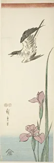 Cuckoo Prints: Cuckoo and iris, c. 1847/52. Creator: Ando Hiroshige