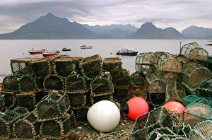 Buoy Collection: Cuillin Hills from Elgol, Isle of Skye, Highland, Scotland