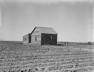Mechanisation Prints: Cultivated fields and abandoned tenant house