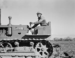 Potatoes Prints: Cultivating potato-fields, west side of San Joaquin Valley