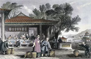 Thomas Allom Gallery: The Culture and Preparation of Tea, China, 1843. Artist: Thomas Allom