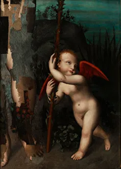 Cupid with a myrtle, before 1593. Artist: Luini, Aurelio (1530-1593) Cupid with a myrtle, before 1593. Artist: Luini, Aurelio (1530-1593)