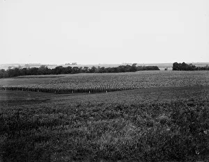 Curve to be straightened, near Oak Grove, Mo. between 1900 and 1905. Creator: Unknown